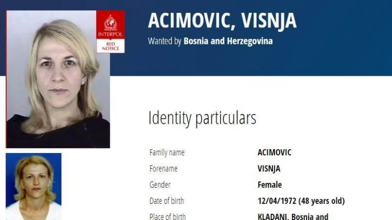 acimovic visnja