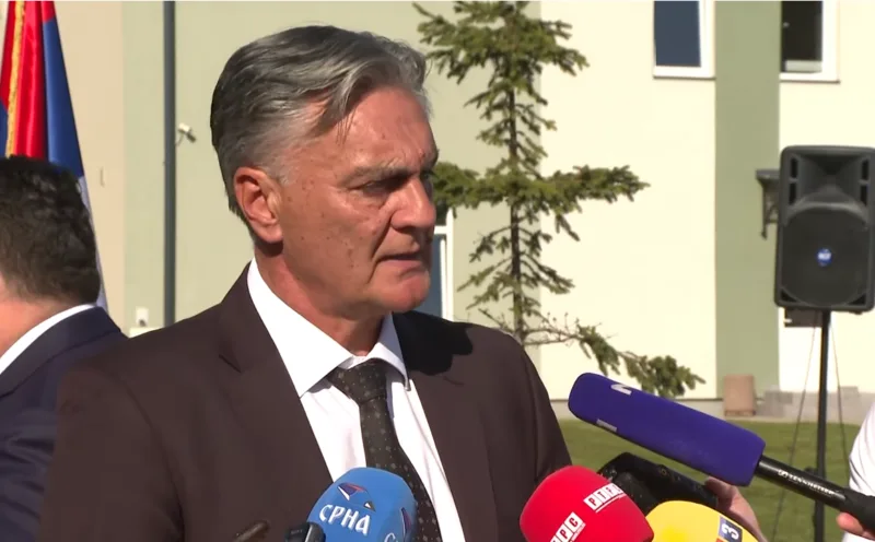 sinisa karan