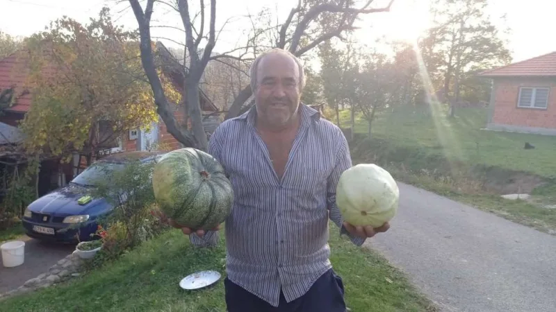 sulejmanović 2