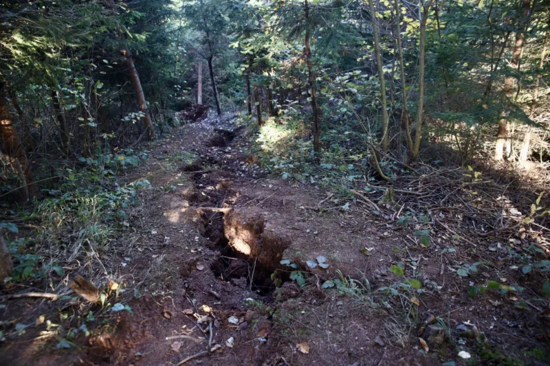 image00021