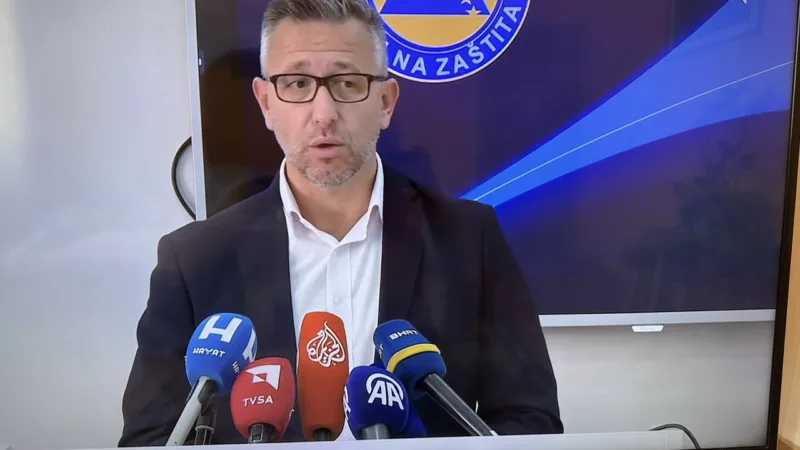 dženan brkanić
