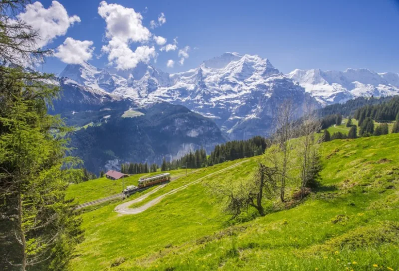 alpe 4