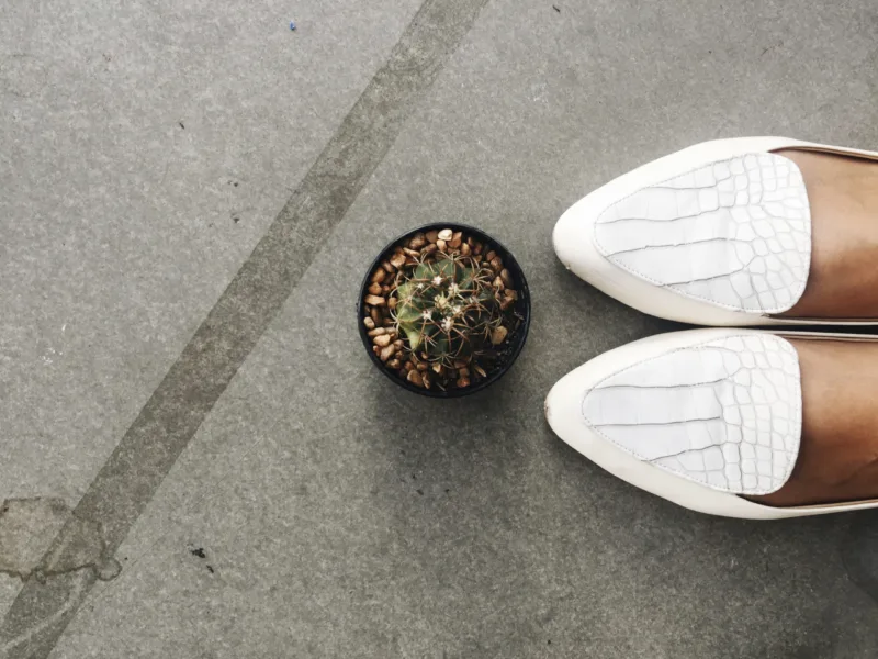 Aerial view of cactus