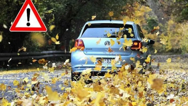 lišće na cesti upozorenje