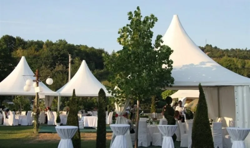 kompanija tapas zenica