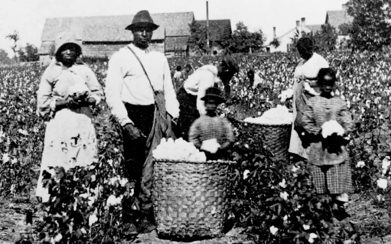 slavery-cotton-picking-southern-america-slaves-finance-deep
