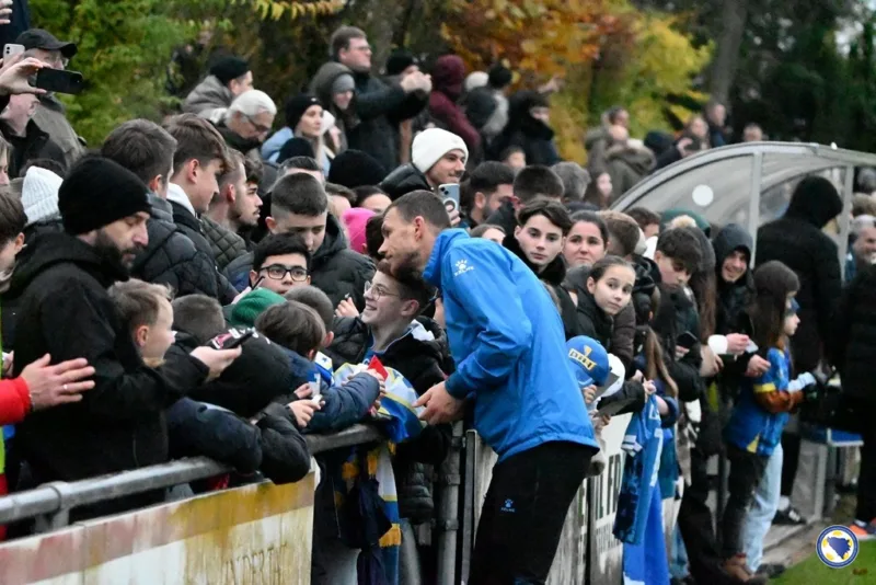dzeko1