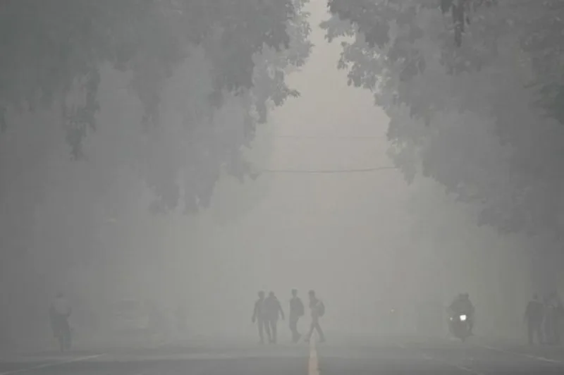 delhii