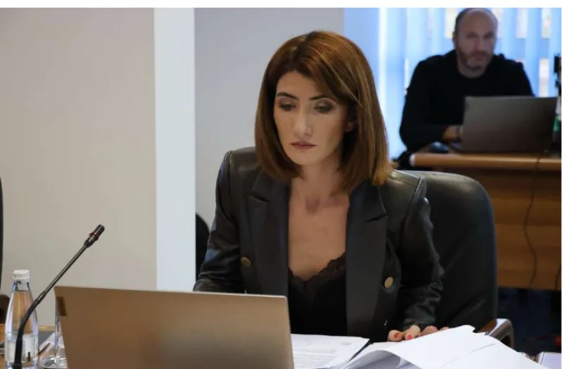 vlada federacije 6