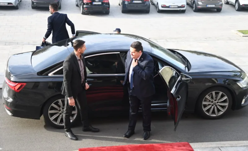 stevandic brnabic 1