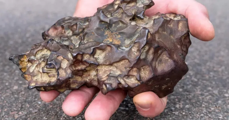 Meteorite Identification Identify Meteorites in 7 Steps