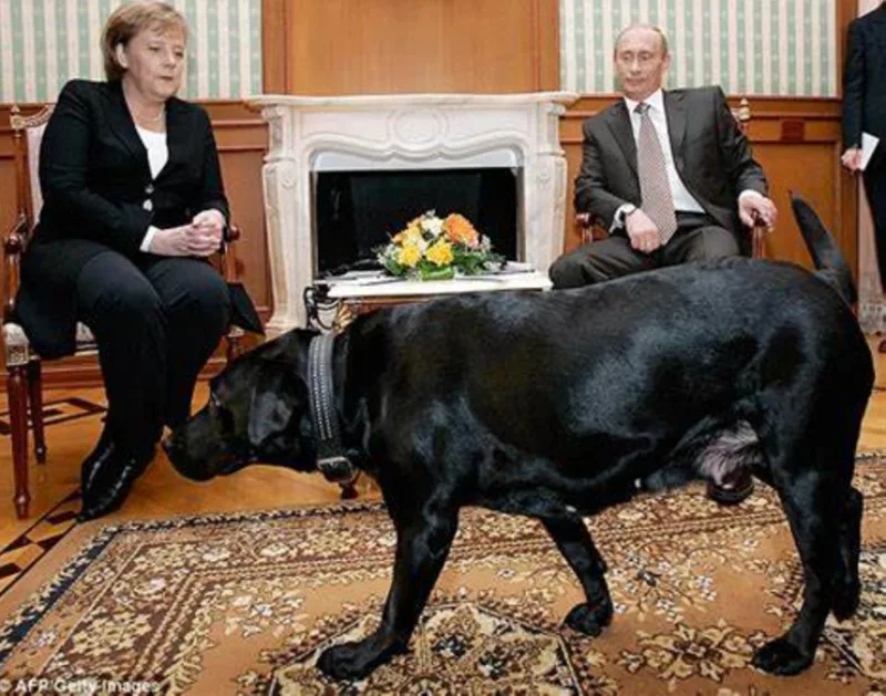 merkel putin pas