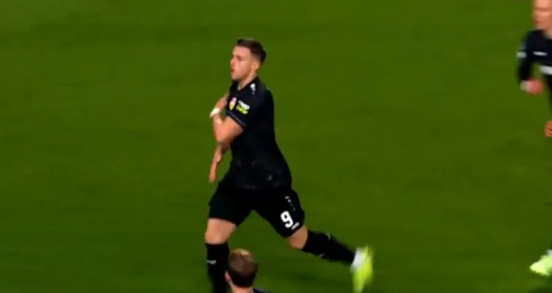 demirovic