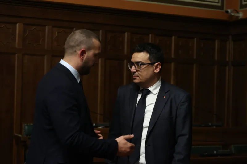 predrag puharic deljkovic (2)