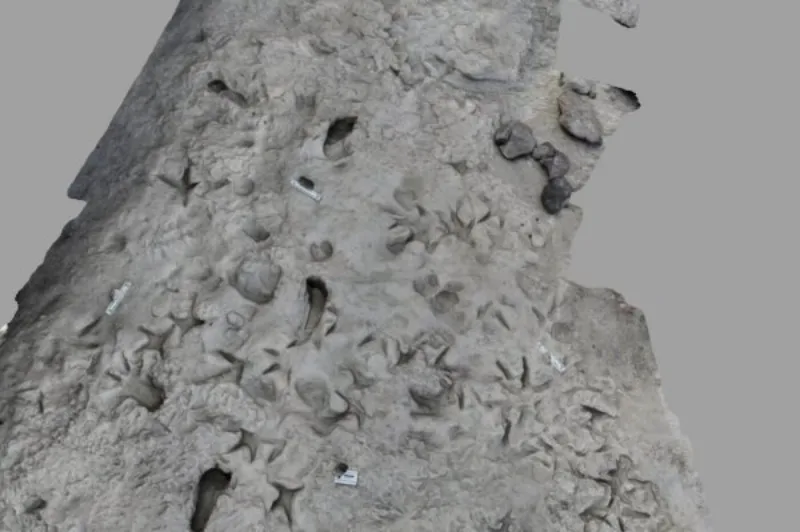 Arheološka senzacija
