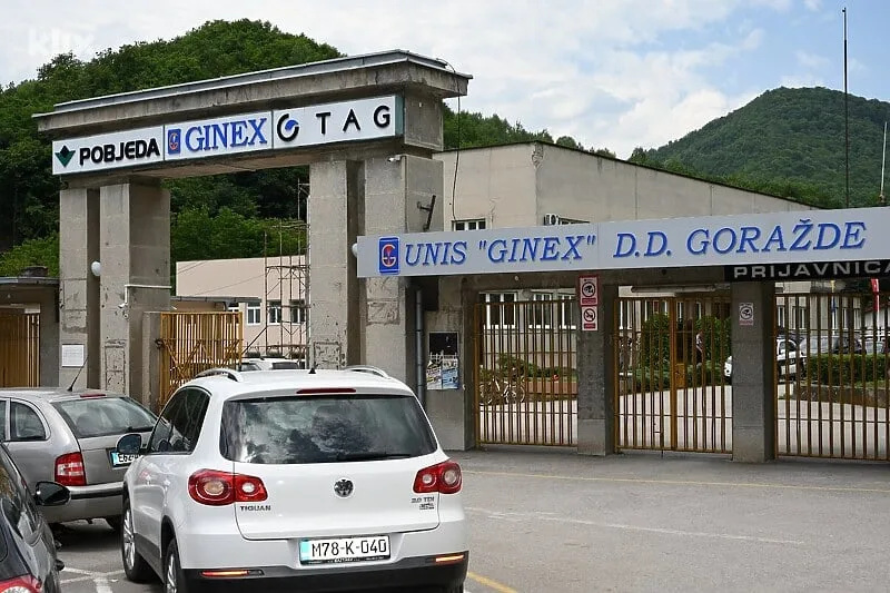 ginex11