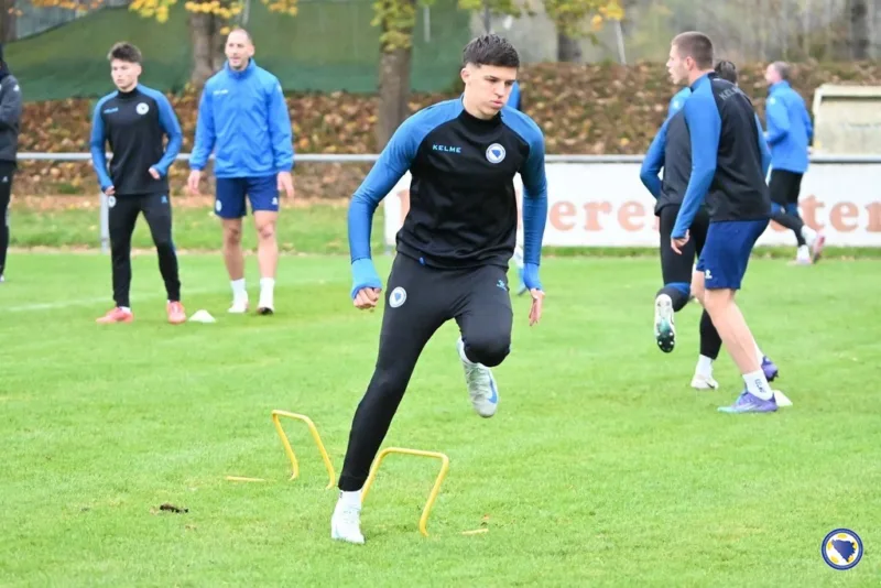 muharemovic