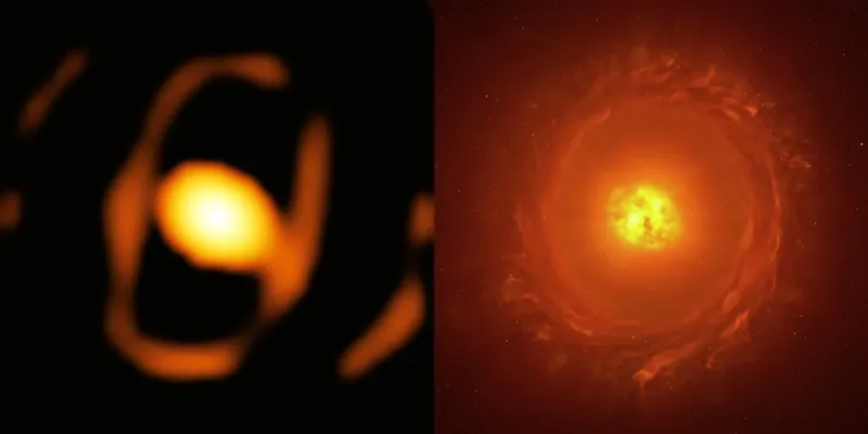 single-star-l