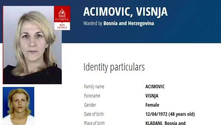 acimovic visnja