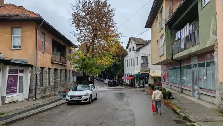 bos. petrovac