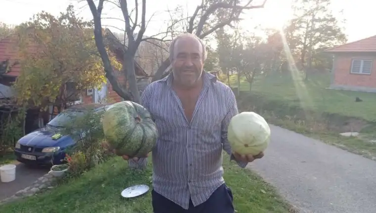 sulejmanović 2