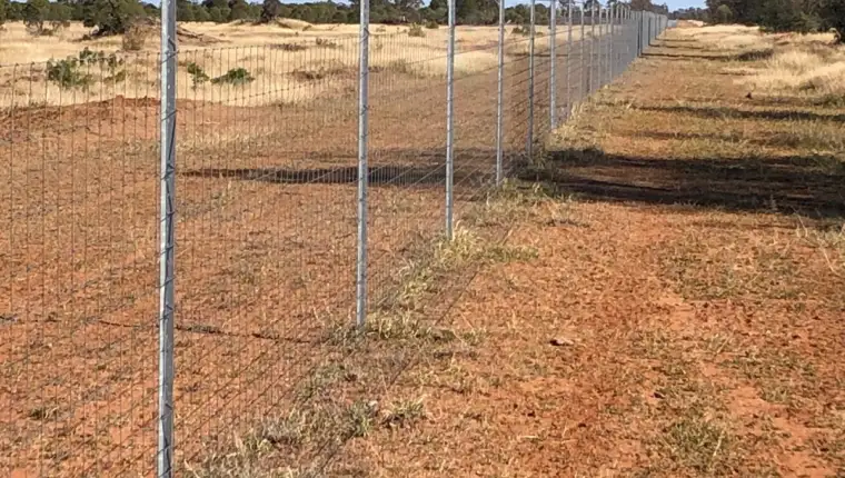 ograda australija