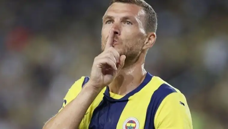 dzeko
