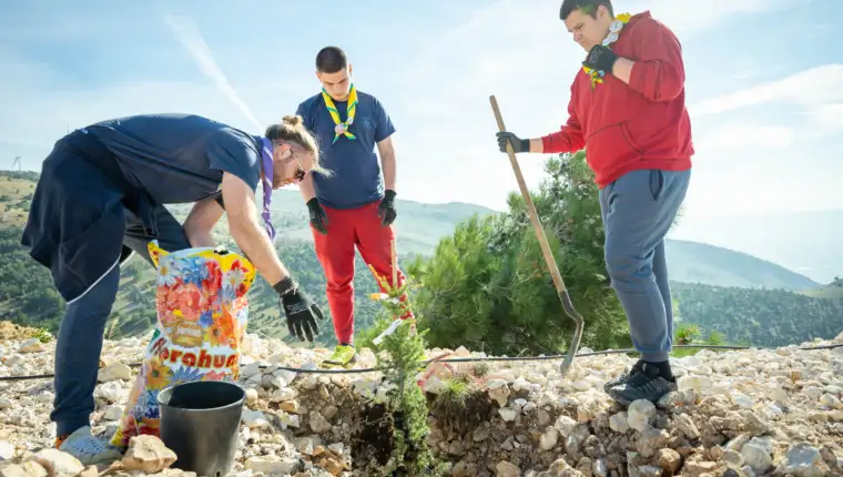 0038761214465 Sulejman Omerbasic
