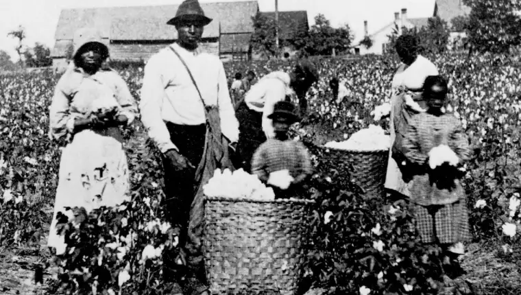 slavery-cotton-picking-southern-america-slaves-finance-deep