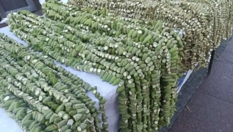 bamija