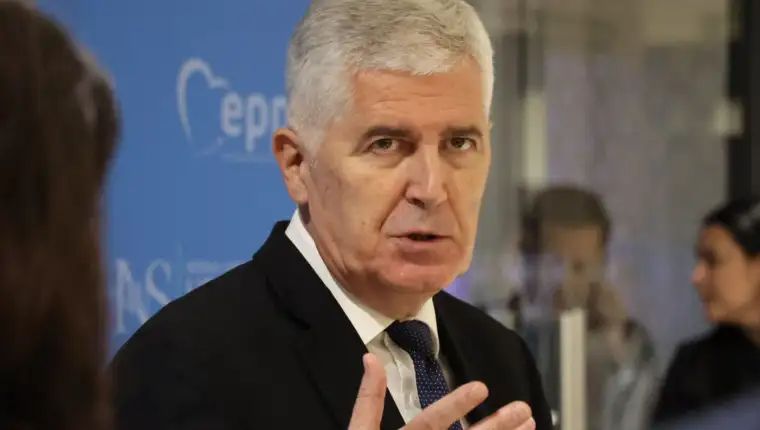 dragan covic fena