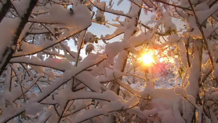 zubato sunce