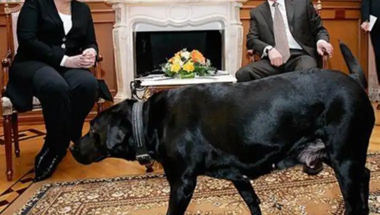 merkel putin pas