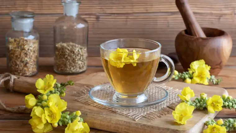 A cup of mullein tea with fresh mullein flowers