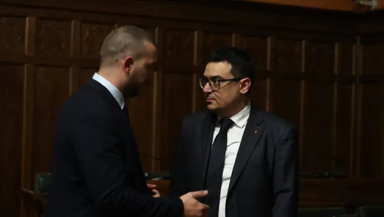 predrag puharic deljkovic (2)