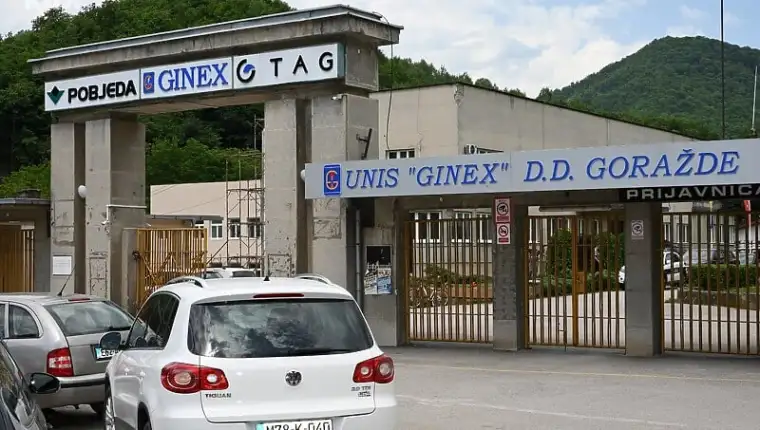 ginex11