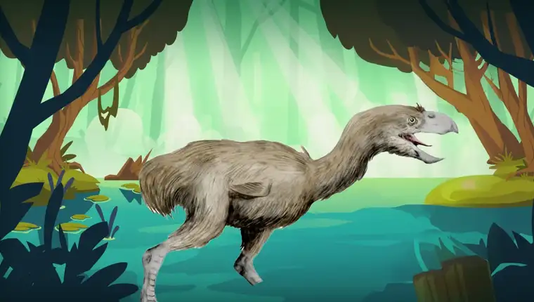 paraphysornis-brasiliensis-l