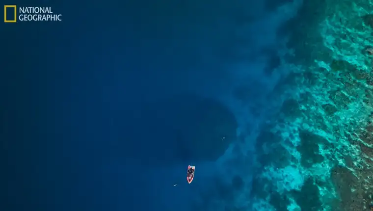 world-s-largest-coral-l
