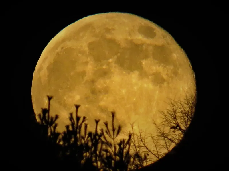 05d01504-4369-400d-82c4-80c35efce90f-WSF_Kristi_Cold_Moon