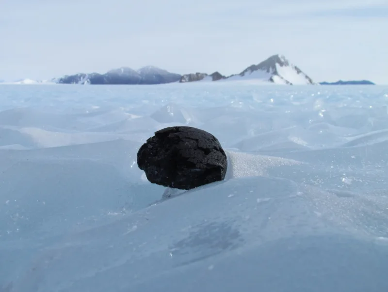 1920_antarctic-meteorite