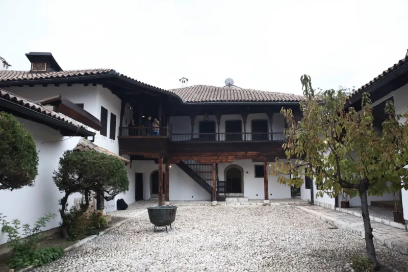 Svrzina kuća (41)