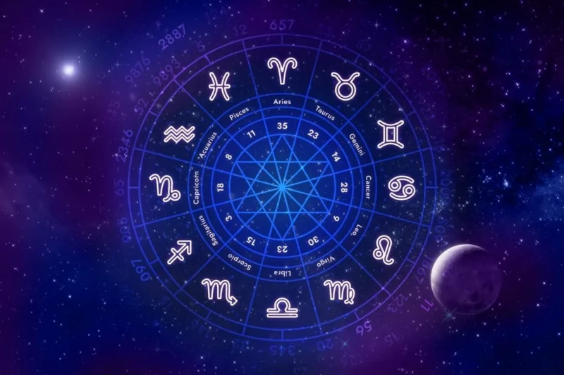 20241212080546_874822