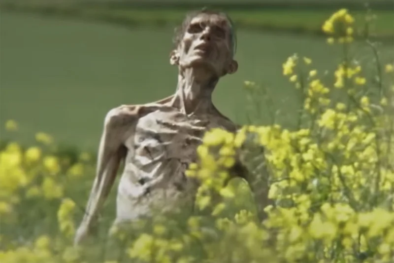 28 godina kasnije film