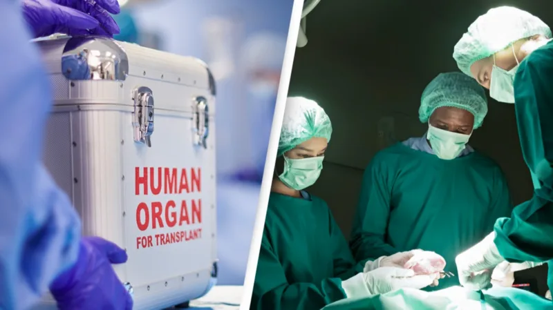 transplantacija organa