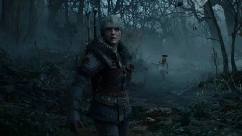 the-witcher-4