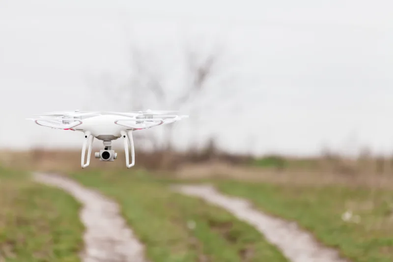 Drone of corn field