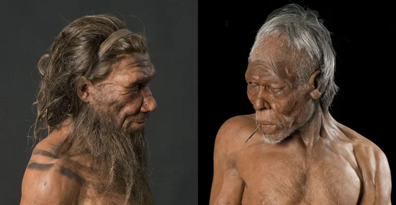 neandertalac i homo sapiens