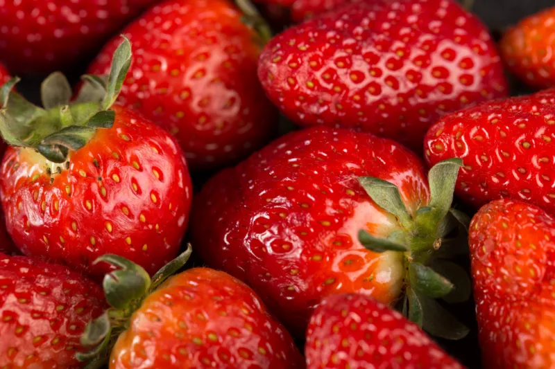 jagode