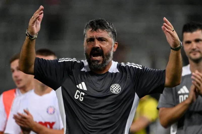 gattusoi