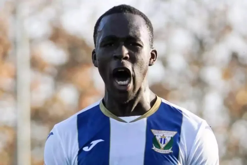 lamini fati